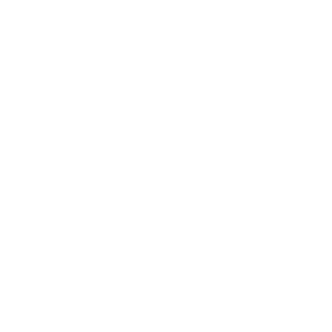 disrupting logo blanco